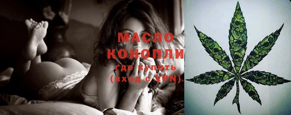 индика Надым