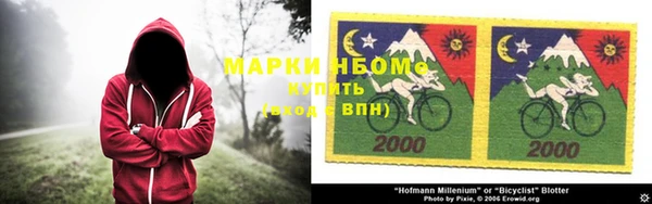 индика Надым