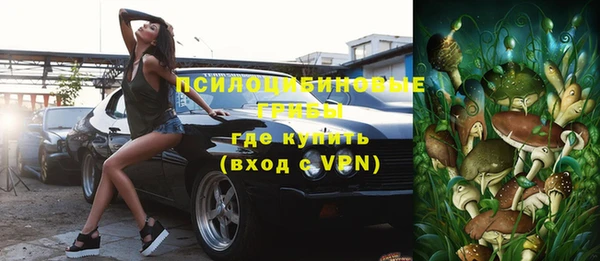 индика Надым