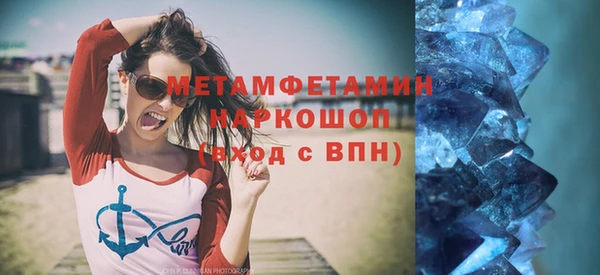 индика Надым