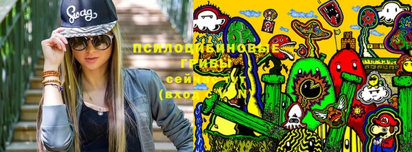 индика Надым